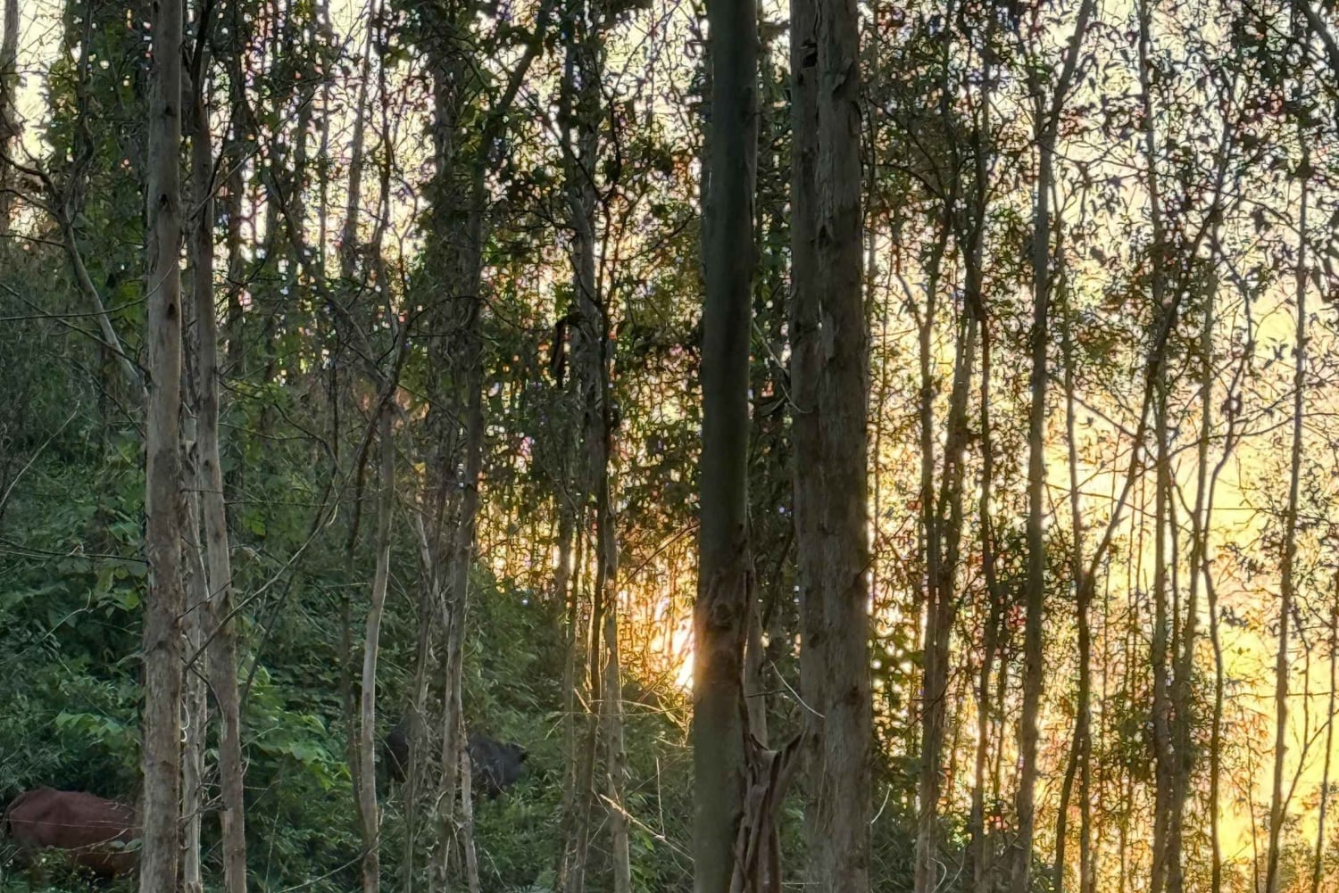 Hanói: el lago Thac Ba, una joya oculta del norte de Vietnam