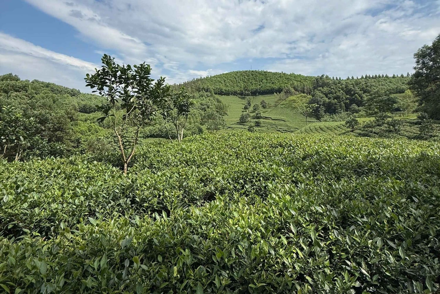 Hanói: el lago Thac Ba, una joya oculta del norte de Vietnam