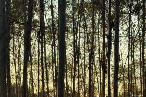 Hanói: el lago Thac Ba, una joya oculta del norte de Vietnam