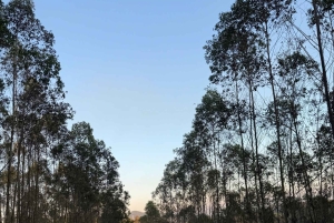 Hanói: el lago Thac Ba, una joya oculta del norte de Vietnam