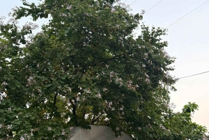 Hanói: el lago Thac Ba, una joya oculta del norte de Vietnam