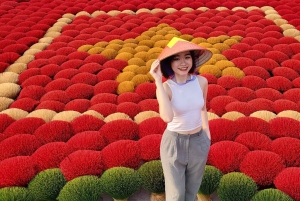 Hanoi: Thang Nghiem-pagoden, Bai Dinh-pagoden eller røgelse og hat