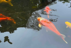 Hanoi: Thang Nghiemin pagoda tai suitsukkeiden kylä ja hattukylä