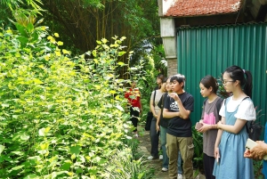 Hanoi: pagoda Thay, pagoda Tay Phuong, wioska jedwabna Van Phuc
