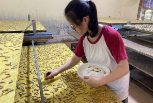 Hanoi: Thay-pagoden, Tay Phuong-pagoden, Van Phuc-silkelandsbyen