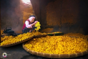 Hanoi: Thay-pagoden, Tay Phuong-pagoden, Van Phuc-silkelandsbyen