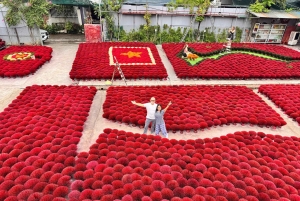 Hanoi: Dagstur til traditionelle landsbyer med frokost