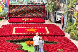Hanoi: Dagstur til traditionelle landsbyer med frokost