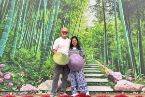 Hanoi: Dagstur til traditionelle landsbyer med frokost