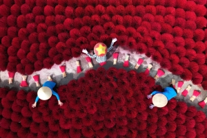 Hanoi: Tram Gian Pagoda of Parfumpagode & boottocht & grot