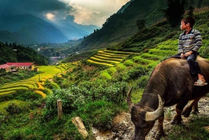 Hanoi: Transfer from/to Sapa by Comfortable Sleeping Bus