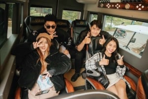 Hanoi: Transfer till eller från Ha Long med daglig lyxlimousine