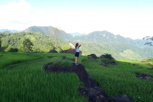 Hanoi: Kuljetus Pu Luongiin tai sieltä pois päivittäisellä luksuslimusiinilla