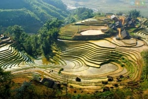 Hanoi: Transfer to or from Sa Pa Town in a VIP Sleeper Bus