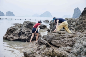 Hanoi: Van Don Overnight Tour with Fishing Village Visit