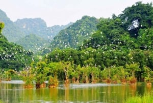 Hanoi: Van Long Nature Reserve & Bai Dinh Pagoda Tour