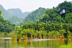 Hanoi: Van Long Nature Reserve & Bai Dinh Pagoda Tour