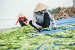 Hanoi: Van Phuc Silk Village eller Hat Village, Incense Village