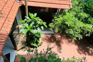 Hanói: clase de cocina vegana con un toque local en una villa con jardín