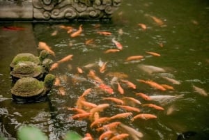 ハノイ・ヴィエット・フー・タン・チュオン（インセンス・ヴィレッジ＆ハット・ヴィレッジ）