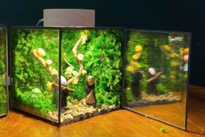 Hanoi: Vietnam National Museum & Terrarium Workshop