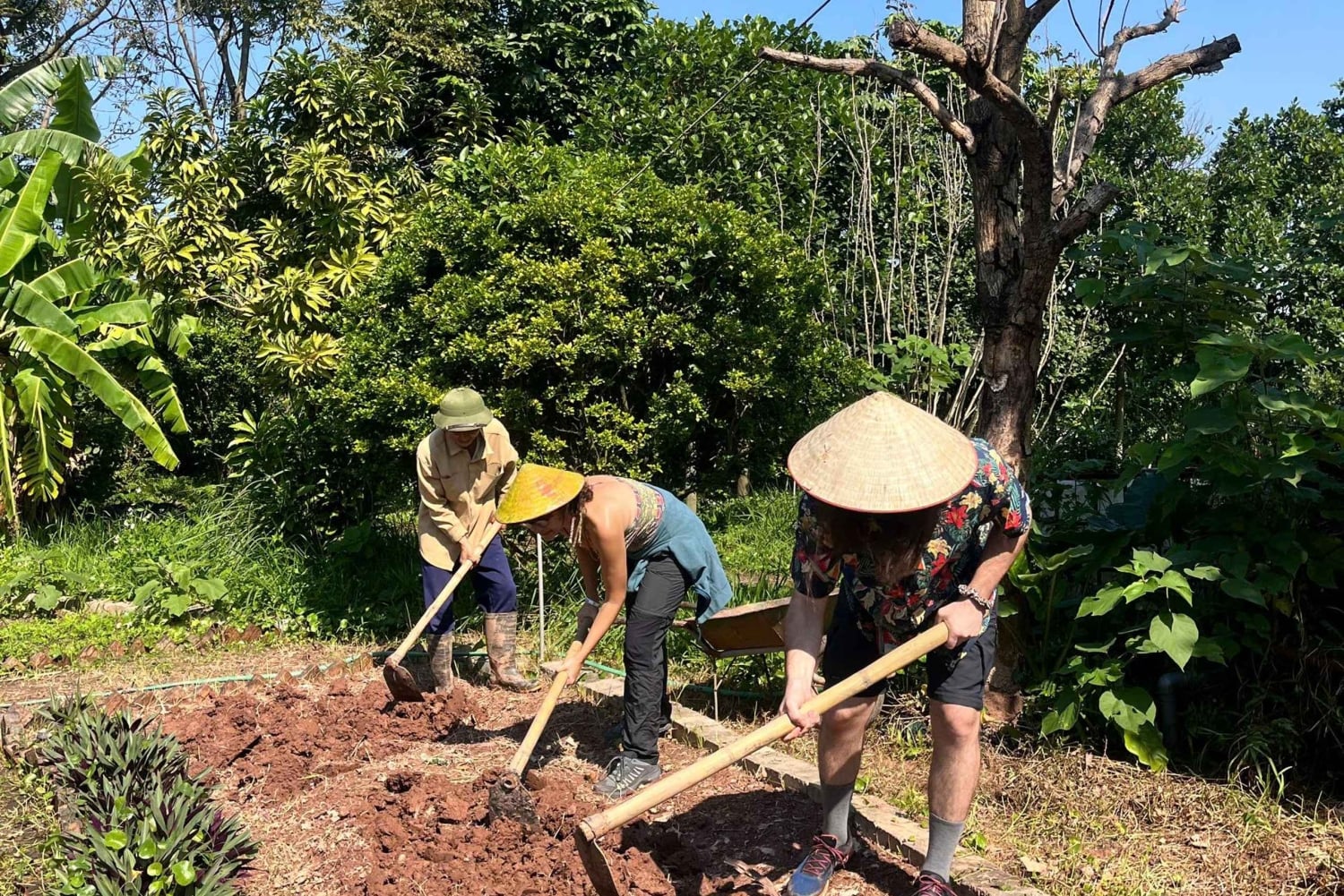 Hanoi: Vietnamese Heritage Tour at Tue Vien Organic Farm