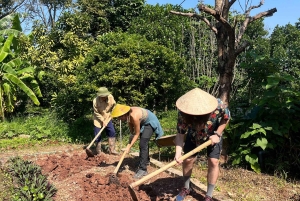 Hanoi: Vietnamese Heritage Tour at Tue Vien Organic Farm