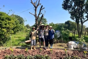 Hanoi: Vietnamese Heritage Tour at Tue Vien Organic Farm