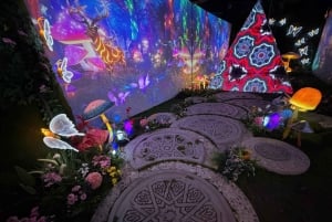 Hanoi: Entrébillet til X Space Immersive Digital Art Experience