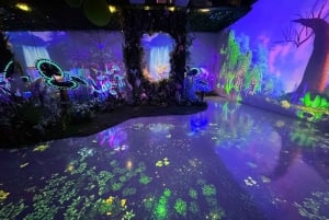 Hanoi: Entrébillet til X Space Immersive Digital Art Experience