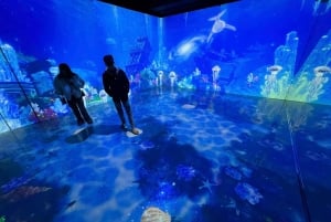 Hanoi: Entrébillet til X Space Immersive Digital Art Experience