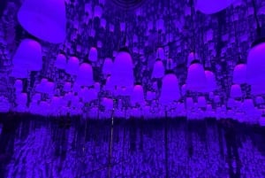 Hanoi: Entrébillet til X Space Immersive Digital Art Experience