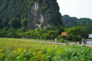 HOA LU - BAI DINH - TRANG AN - GROTTA DI MUA DA NINH BINH