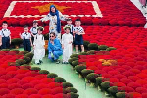 お香の村 - タムコック - ホアルー ハノイ発 9 人少人数グループ