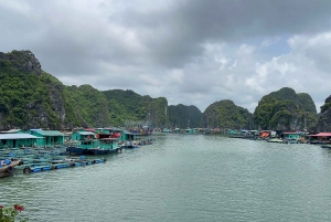Lan Ha Cat Ba Cruise 2 Days Tour From Hanoi Old Quarter