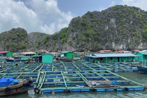 Lan Ha Cat Ba Cruise 2 Days Tour From Hanoi Old Quarter