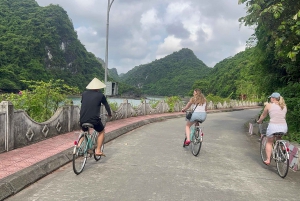 Lan Ha Cat Ba Cruise 2 Days Tour From Hanoi Old Quarter