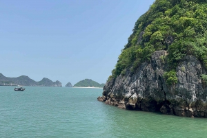 Lan Ha Cat Ba Cruise 2 Days Tour From Hanoi Old Quarter