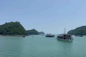 Lan Ha Cat Ba Cruise 2 Days Tour From Hanoi Old Quarter