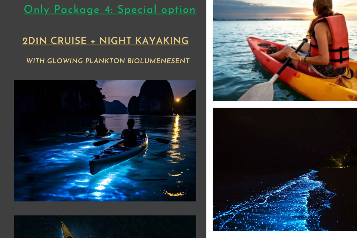 Boutique-krydstogter i Lan Ha-bugten med små grupper