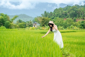 Hanoi: Mai Chau Luxury Limousine Bus Transfer