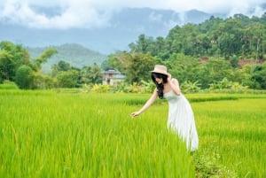 Hanoi: Mai Chau Luxury Limousine Bus Transfer