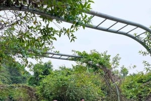 Lyxig dagsutflykt Ha Noi - Cat Ba Island - Lan Ha Bay