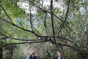 Lyxig dagsutflykt Ha Noi - Cat Ba Island - Lan Ha Bay