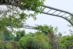 Luxe dagtrip Ha Noi - Cat Ba eiland - Lan Ha baai