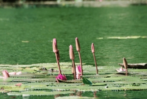 Tur i luksuslimousine: Hoa Lu, Trang An/Tam Coc & Mua Cave