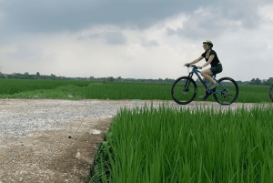 Tur i luksuslimousine: Hoa Lu, Trang An/Tam Coc & Mua Cave