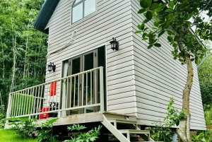 De Ngoc Vung al A La Carte Ha Long: 3 días y 2 noches de pura felicidad.