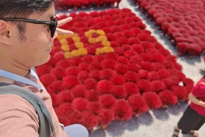 Ninh Binh en 2 jours : culture, nature et sortie en bateau