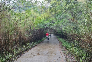 Ninh Binh: 3-dagers cruise til Cat Ba-øya og Lan Ha-bukten med måltider